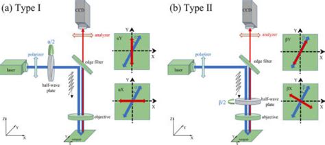 Schematic Diagrams Of Type I And II Polarization Configurations For