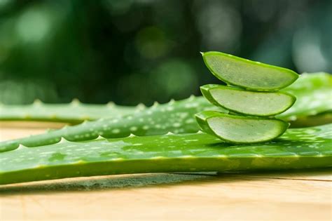 Premium Photo Close Up Of Wet Green Leaves