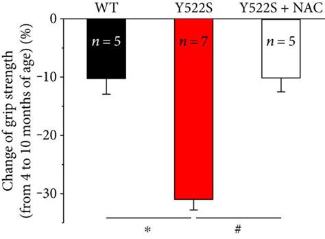 Effects Of Long Term NAC Treatment At 10 Months Of Age A