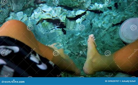 Fish Bite Feet In The Water Cenote Tajma Ha Mexico Stock Video Video