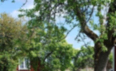 GMAT Preparation Resources: Practice Tests and Strategic Study Guides 1