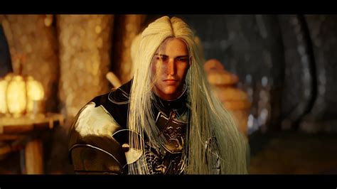 Cotr High Elf Preset At Skyrim Special Edition Nexus Mods And Community