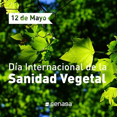 El D A Internacional De La Sanidad Vegetal Busca Sensibilizar Sobre El