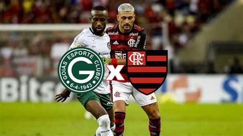 Goiás x Flamengo ao vivo como assistir online e transmissão na TV