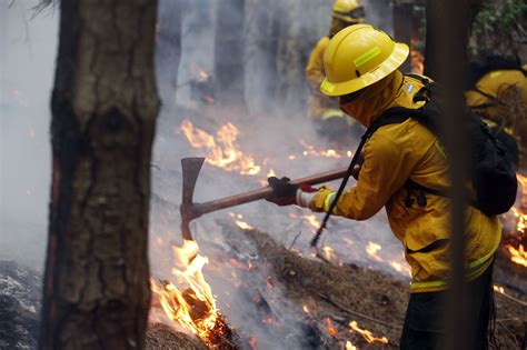 Incendios En Argentina Tres Claves Para Entender Cómo El Fuego Afecta