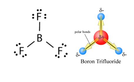 BF3 Lewis Structure, Molecular Geometry, Hybridization, and Polarity