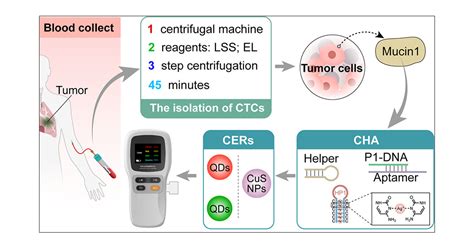 Single Cell Liquid Biopsy Of Lung Cancer Ultra Simplified Efficient