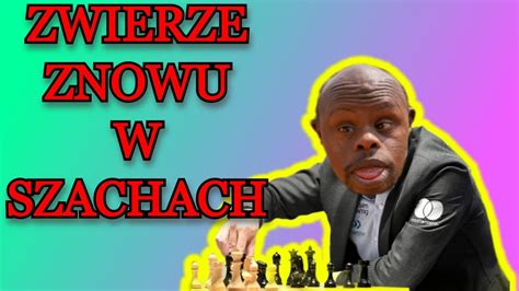 Szachy Po D Ugiej Przerwie Youtube