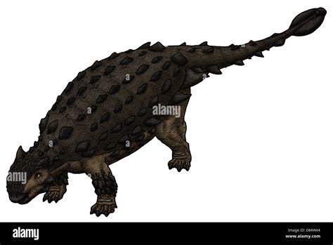 Dinosaurio Talarurus Fotografías E Imágenes De Alta Resolución Alamy