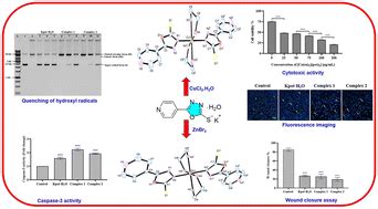 Isolation Of Potassium Salt Of Oxadiazole 2 Thione And In Vitro