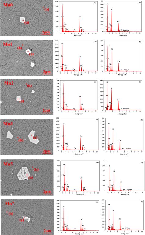 Scanning Electron Microscope Sem Images And Energy Dispersive Xray