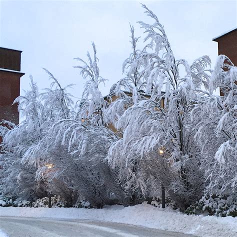 Heavy Snow Hans Nerstu Flickr