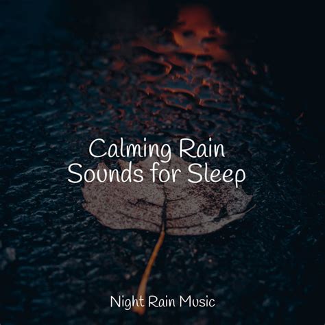 Calming Rain Sounds For Sleep Album By Relajación Spotify