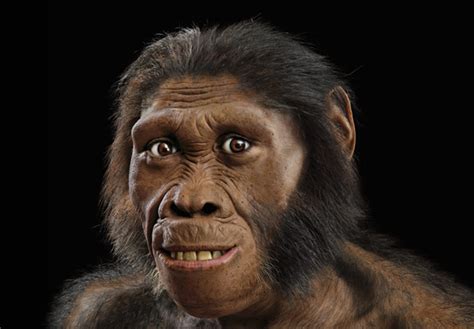 Australopithecus Sediba Maropeng Virtual Lab Live