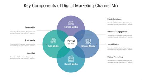 Key Components Of Digital Marketing Channel Mix Ppt Icon Infographics