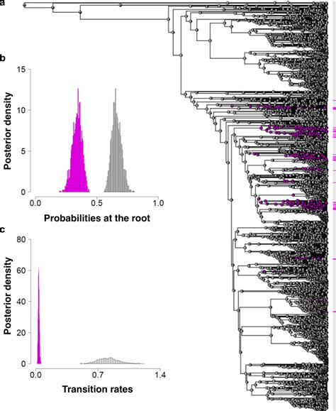 The Evolutionary History Of The Sexual System In Teleosts A Visual Download Scientific Diagram