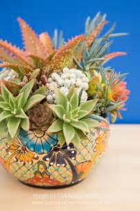 Choosing The Right Pot For Your Succulents Succulents And Sunshine