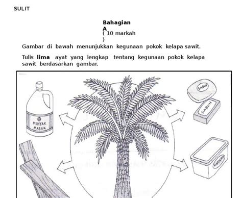 Ayat Ulasan Kegunaan Pokok Kelapa Kepentingan Pokok Kelapa Pdf Ariane Ohara