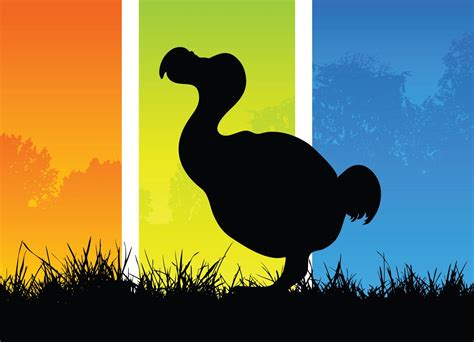 Insanely Shocking Facts About the Extinct Dodo Bird - Bird Eden