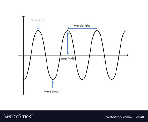 Parts of a wave crest trough amplitude and Vector Image