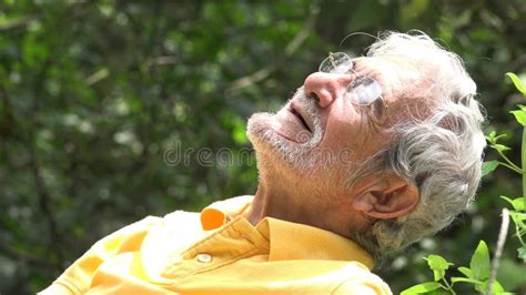 Elderly Old Man Sleeping Outdoors Stock Footage Video Of Adult