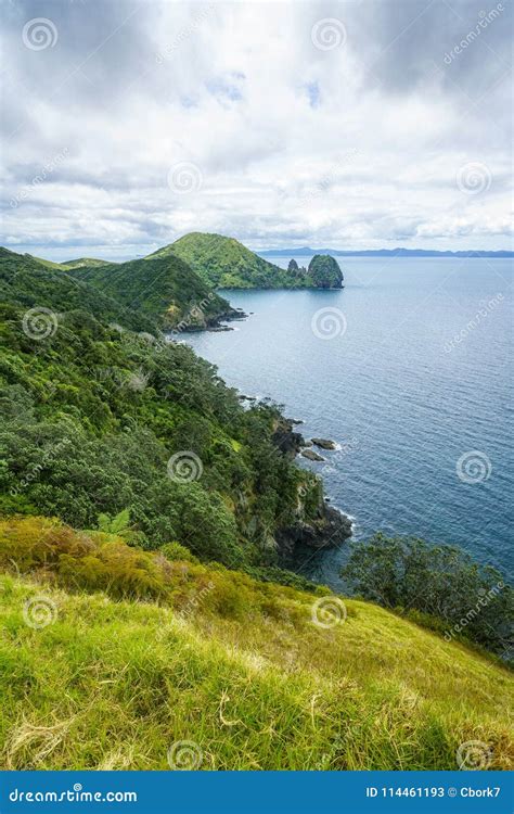 Hiking The Coromandel Coastal Walkway New Zealand 18 Stock Image