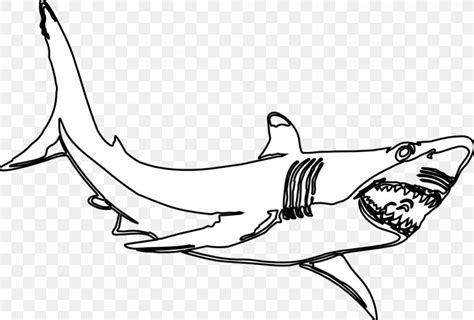 Great White Shark Black And White Clip Art, PNG, 999x677px, Shark, Area ...