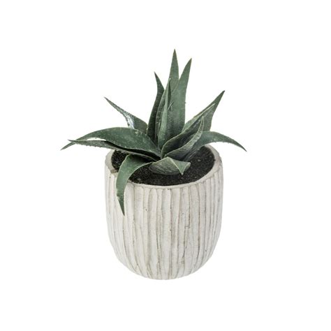 Plante Artificielle Succulente En Pot H 12 Cm à Prix Carrefour