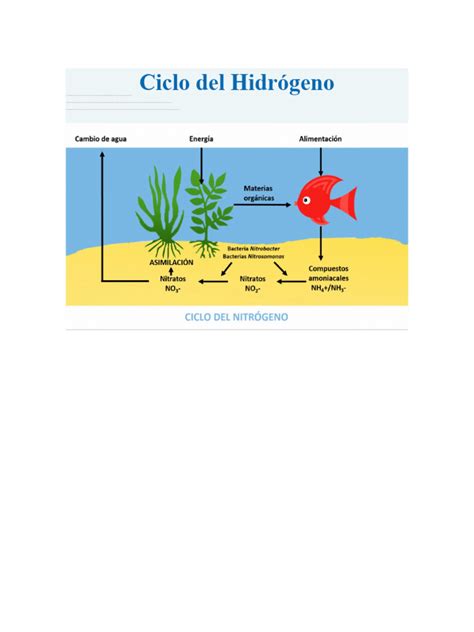 Ciclo Del Hidrógeno Pdf