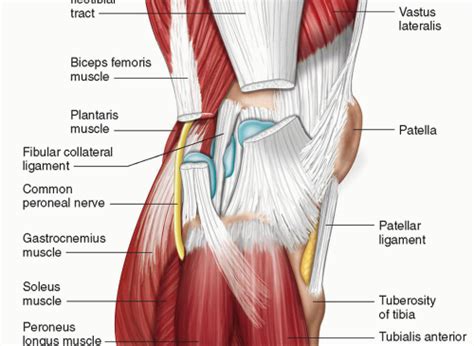 It Band Syndrome Itbs Oneills Sports Therapy