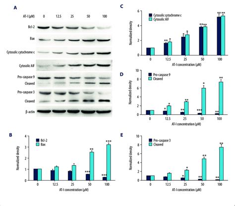 At I Activated Mitochondria Mediated Apoptosis Pathways In A Cells