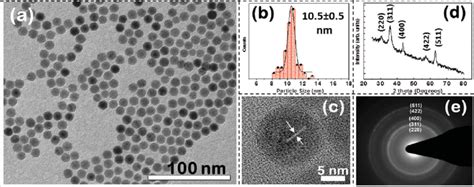 Bright Fi Eld Tem Image Of As Synthesized Fe O Nanoparticles A