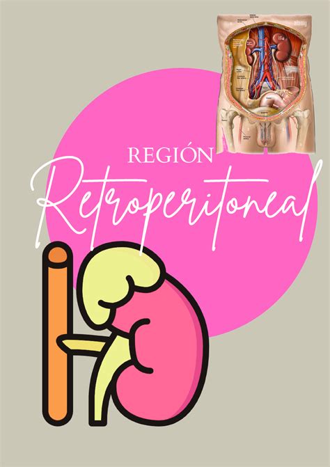 Region Retroperitoneal RegiÓn Retroperitoneal Sitema Urinario Irrigación Porción Lateral