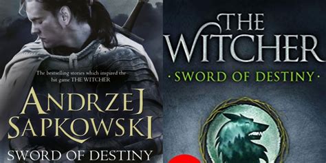 The Best Characters From The Witcher Books