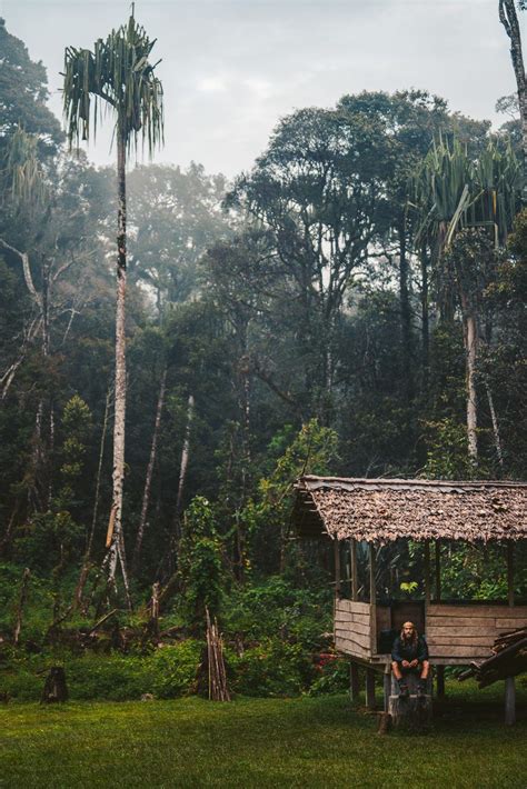 kokoda trail  ultimate guide kokoda track guide qseqnn