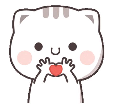 Cat Hand Heart Emoji GIF - Cat Hand heart emoji Animated - GIF 탐색 및 공유