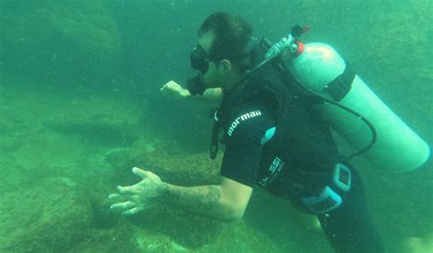 O Que Fazer Em Ilhabela Ilha Divers Operadora De Mergulho