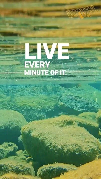 1️⃣ Are You Living Every Minute Of It⁉️🛶 How Are You Gonna Live Your Life Live Every Minute Of