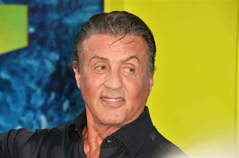 45 Amazing Facts About Sylvester Stallone List Useless Daily Hot Sex