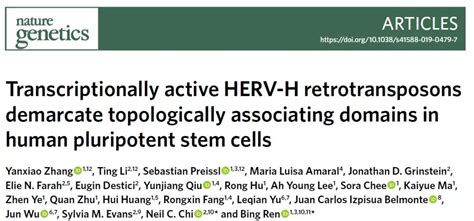 Nature Genetics 任兵组揭示内源性逆转录病毒能够影响染色质三维结构 知乎
