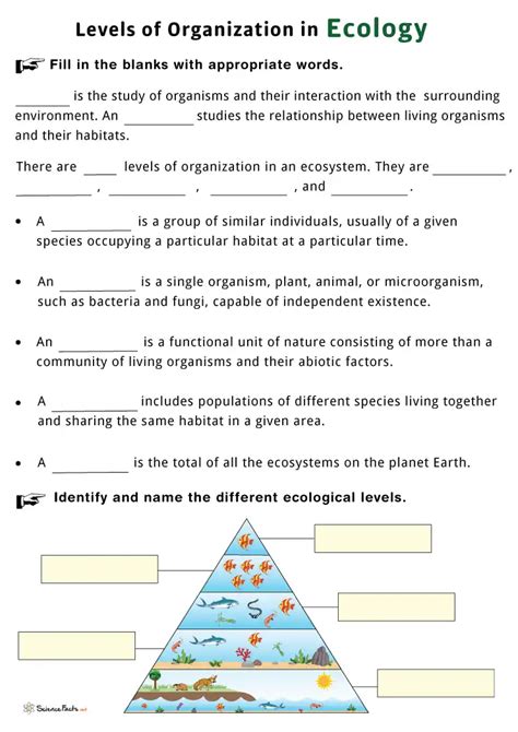 Levels Of Ecological Organization Worksheets Free Printable