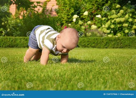 Adorable Little Baby Crawling On Green Grass Stock Photo Image Of