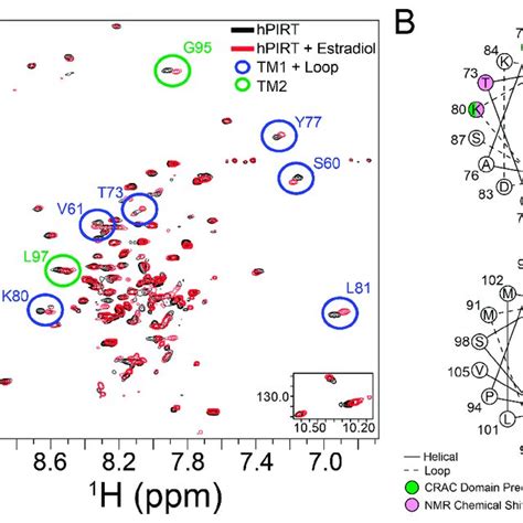 Identification Of The Pirt Estradiol Binding Site By Nmr A The Nmr