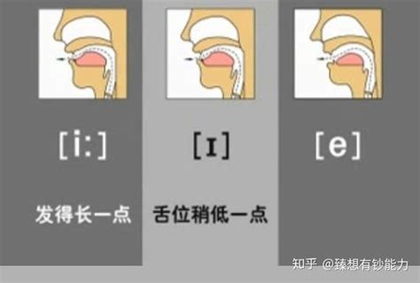 英语音素发音图解口形及发音方法 知乎