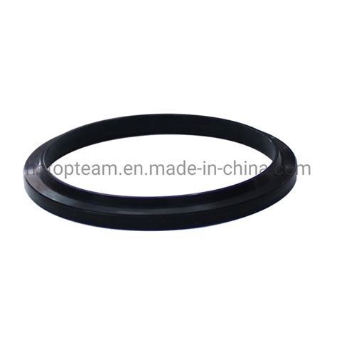 Hydraulic Pneumatic Rod Piston Seals Oil Sealdust Wiper Seal Dhs