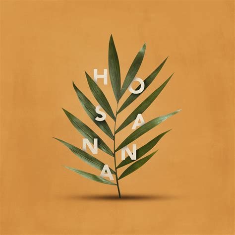 What Does “Hosanna” Mean in the Bible?