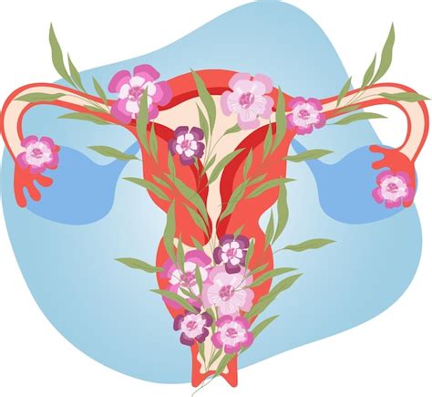 Système reproducteur féminin avec des fleurs en illustration