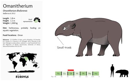 Amphicyonidae