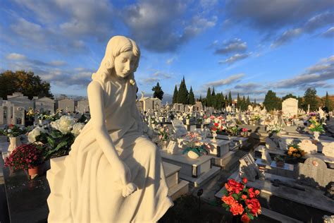 Banco De Imagens Flor Monumento Est Tua Cemit Rio Grave