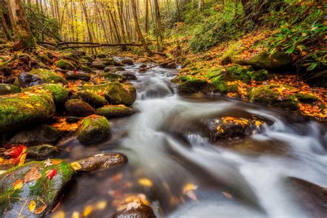 Wallpaper Autumn Forest Smoky Mountains National Park Pictures From